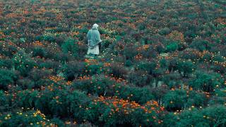 THE CALF DOLL trailer | BFI London Film Festival 2026 – 7-18 October