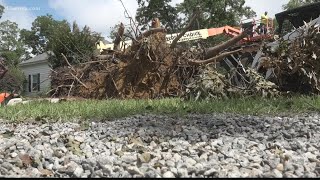 Severe storms leave damage at Bibb County farm