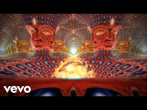 Tool - Vicarious