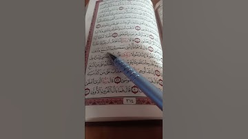 سورة طه الاية 46