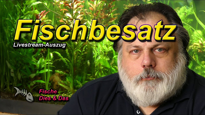 WIE VIELE FISCHE KANN ICH INS AQUARIUM EINSETZEN?