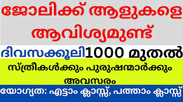 Job Vacancy Malayalam 2024 | Kerala Job Vacancy | Job Vacancy 2024