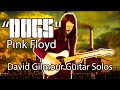 Dogs - Pink Floyd (David Gilmour guitar solos)
