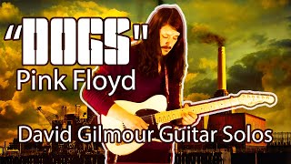 PDF Sample Dogs - Pink Floyd (David Gilmour guitar solos) guitar tab & chords by Sean Briskey.