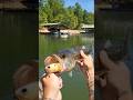 Dock Fishing Largemouth April Lake Lanier