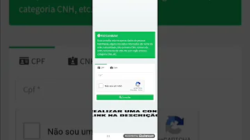 Como consultar Renach SP?