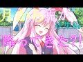 【ゆっくり茶番劇】鈴仙さんと寝る場所で言い合いをして…?!《月から兎が降ってきた?!》#総集編