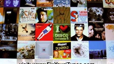 Organize And Fix iTunes Problems Automatically!