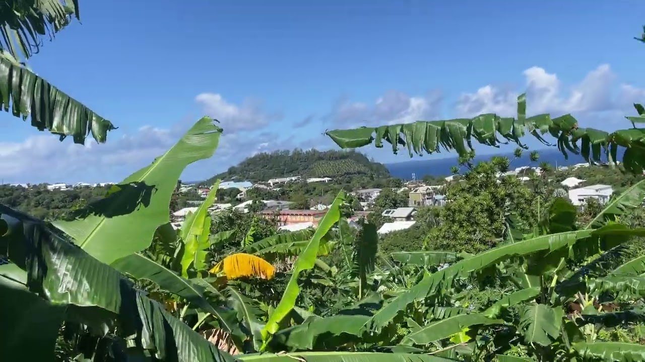 9 août 2023 : Le Piton Babet (ex Piton Saladin) à Saint-Joseph 97480 REUNION