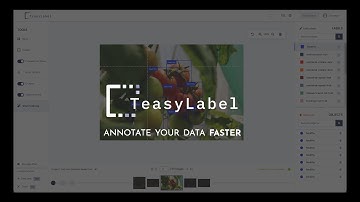 TeasyLabel: Data Annotation Platform