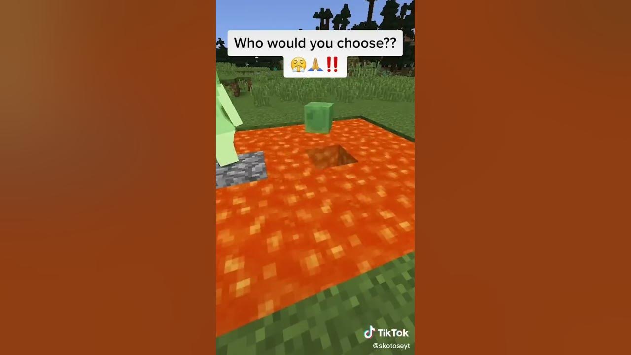 Minecraft how would you choose?