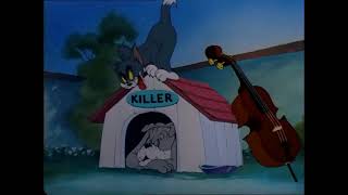 Tom & Jerry | Solid Serenade