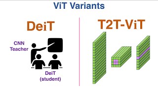 Variants of ViT: DeiT  and T2T-ViT screenshot 5