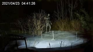 Most Disturbing Hiking Encounters Caught on Camera
