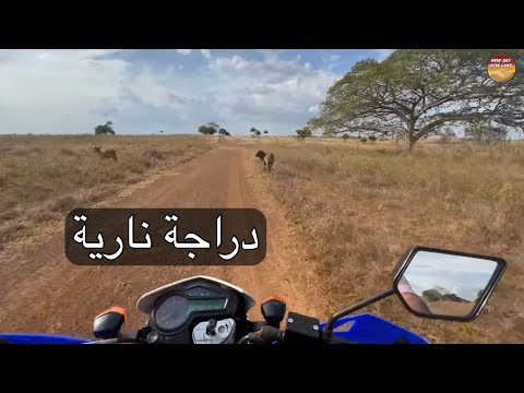 مزرعة عمر فنزويلا 167