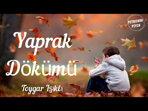 Toygar Işıklı - Yaprak Dökümü (Şarkı Sözü/Lyrics) HD