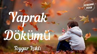 Toygar Işıklı - Yaprak Dökümü (Şarkı Sözü/Lyrics) HD Resimi