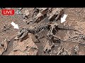 NASA Perseverance Rover Latest Panorama SOL 1831 | Mars hd video | Mars hd photos 