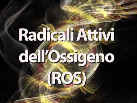 Video: Mutazione Frequente Di Geni Correlati All'ipossia Nell'ipertensione Polmonare Persistente Del Neonato