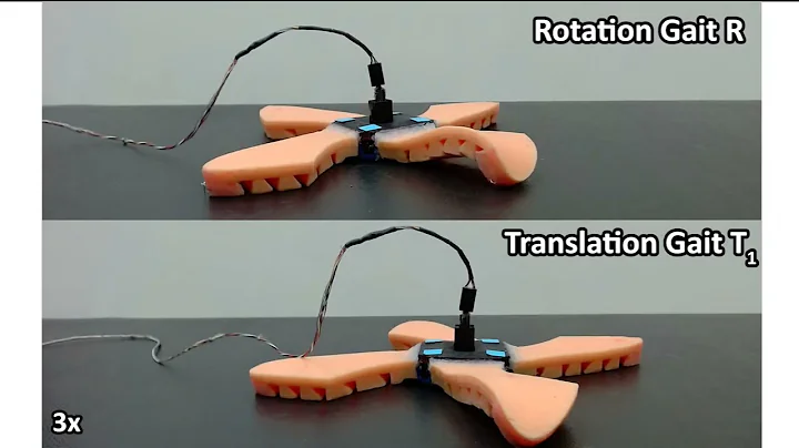 Multi-gait Locomotion Planning and Tracking for Tendon-actuated Terrestrial Soft Robot (TerreSoRo)