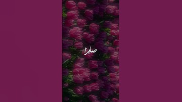 💚💚#قرآن #قران_كريم #المصحف #ارح_قلبك #هدوء #هدوء_القلب #تلاوات