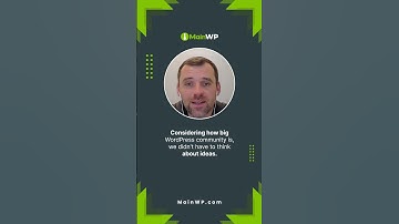 Why build an extension for MainWP? Vasyl Martyniuk discusses why he chose to build the Advanced Acce