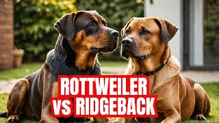 Rottweiler vs Rhodesian Ridgeback - Who's the Ultimate Guard Dog?| Dog Breeds | Guard Dogs