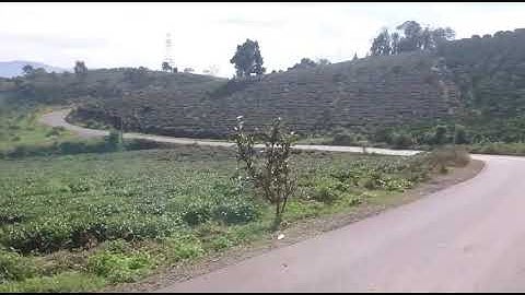 Suối Mơ Bảo Lộc