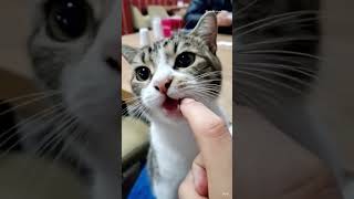 what is it.......?😱😱😱😱