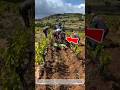 Amazing Vineyard Trenching Machine! Fast Farming Technology That Looks Unreal