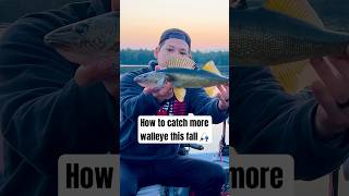 How to catch more walleye this fall 🎣 #fishingtips