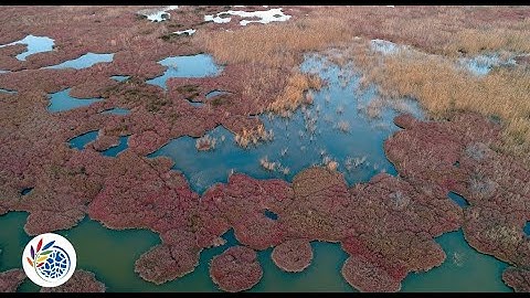 IUCN Congress - Freshwater conservation