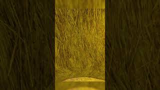 Guts Teleports #shorts #mordhau