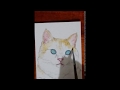 Gold shine tabby watercolor aceo by halie french