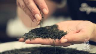 Twinings Tea Tasters - Japanese Green Sencha Resimi