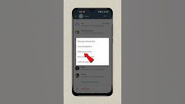 How To Make Someone Admin On WhatsApp Business Group #shorts