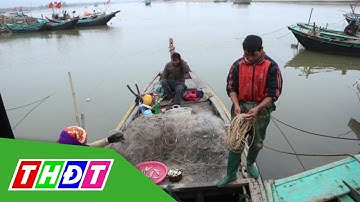 Vào mùa cá đục, ngư dân Hà Tĩnh thu tiền triệu mỗi ngày | THDT