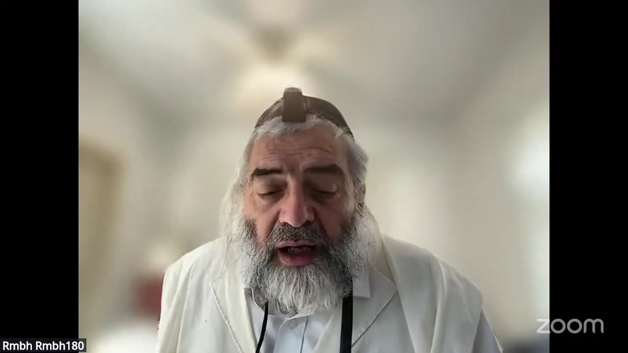 Daf HaYomi - Zevahim 86