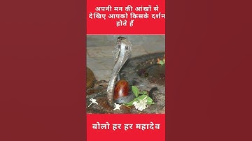 शिवलिंग पर दिखे साक्षात वासुकी नाग जी के दर्शन।#bholenath#shivji#mahadev#mahakal#omkareshwar#om