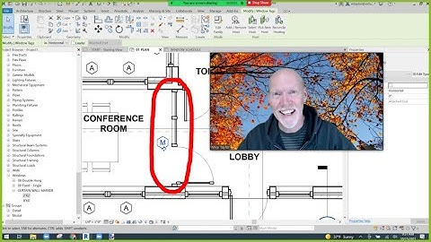 WORKAROUND: Curtainwalls in a Window Schedule