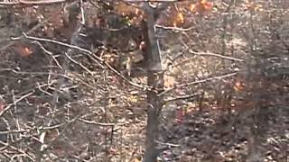 Zefir Janiorski Goni D Nazimad 04 12 2012 Youtube