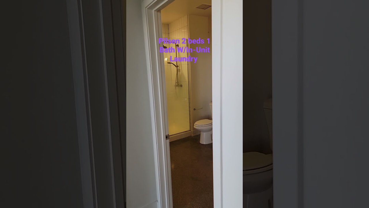 Pilsen 2 Beds 1 Bath w/In-Unit Laundry Rooftop Deck