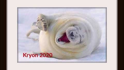 Kryon 2020 ~ Finding Joy in the Midst of Chaos - 1