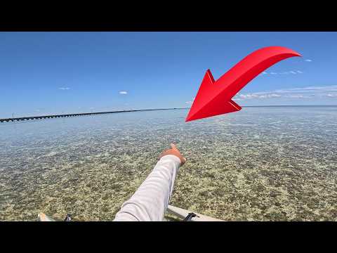 100 Bonefish and I can't catch one.  Bonefish sight fishing practice video.