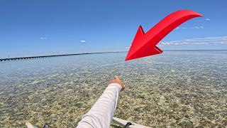100 Bonefish and I can't catch one.  Bonefish sight fishing practice video.