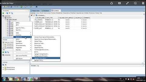 Creacion De Tablas, Relaciones e insercion de datos en Oracle 11g EX