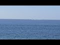 Whale Breaching view from The Cape 2025-01-22