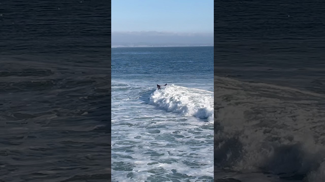 Surfers at Santa Cruz. 