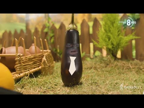 გამოძიების ინტერესებიდან გამომდინარე - ბოსტანი - XI ეპიზოდი