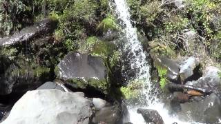 Saltos de agua - Pucura - Region de Los Lagos